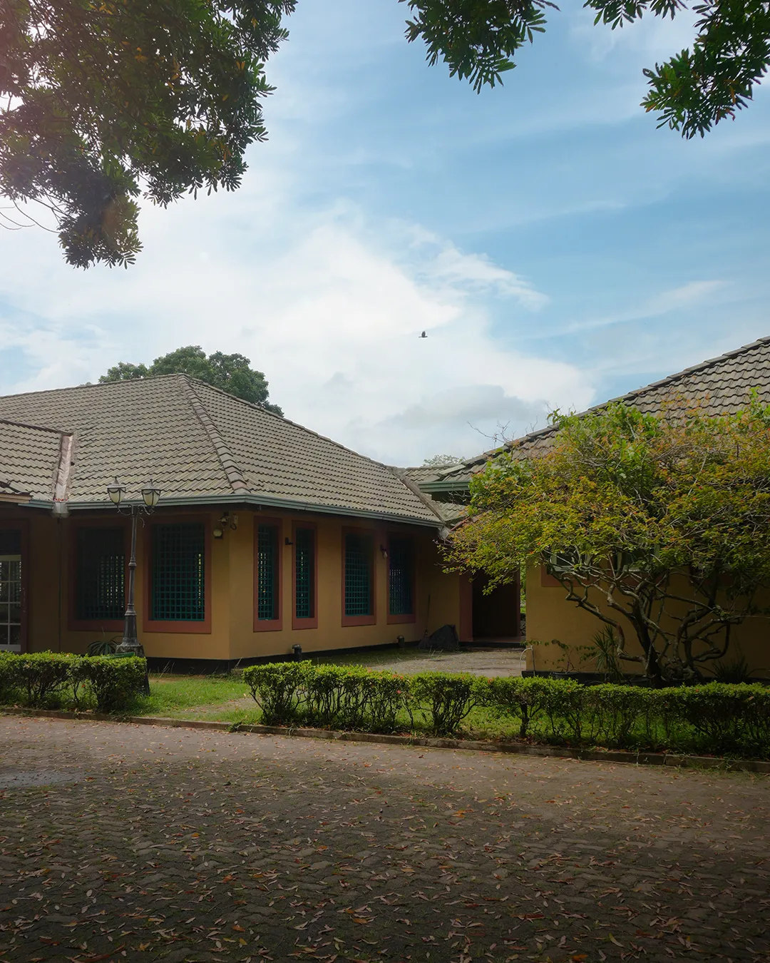 The club house behind its clipped hedges