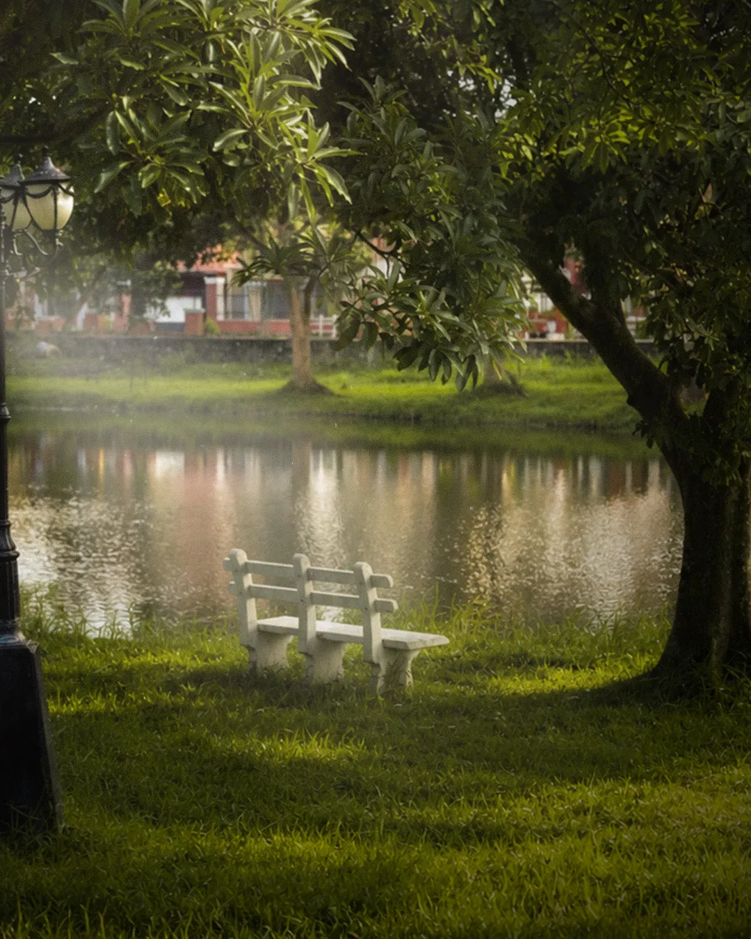 White benches at the lake edge at golden hour