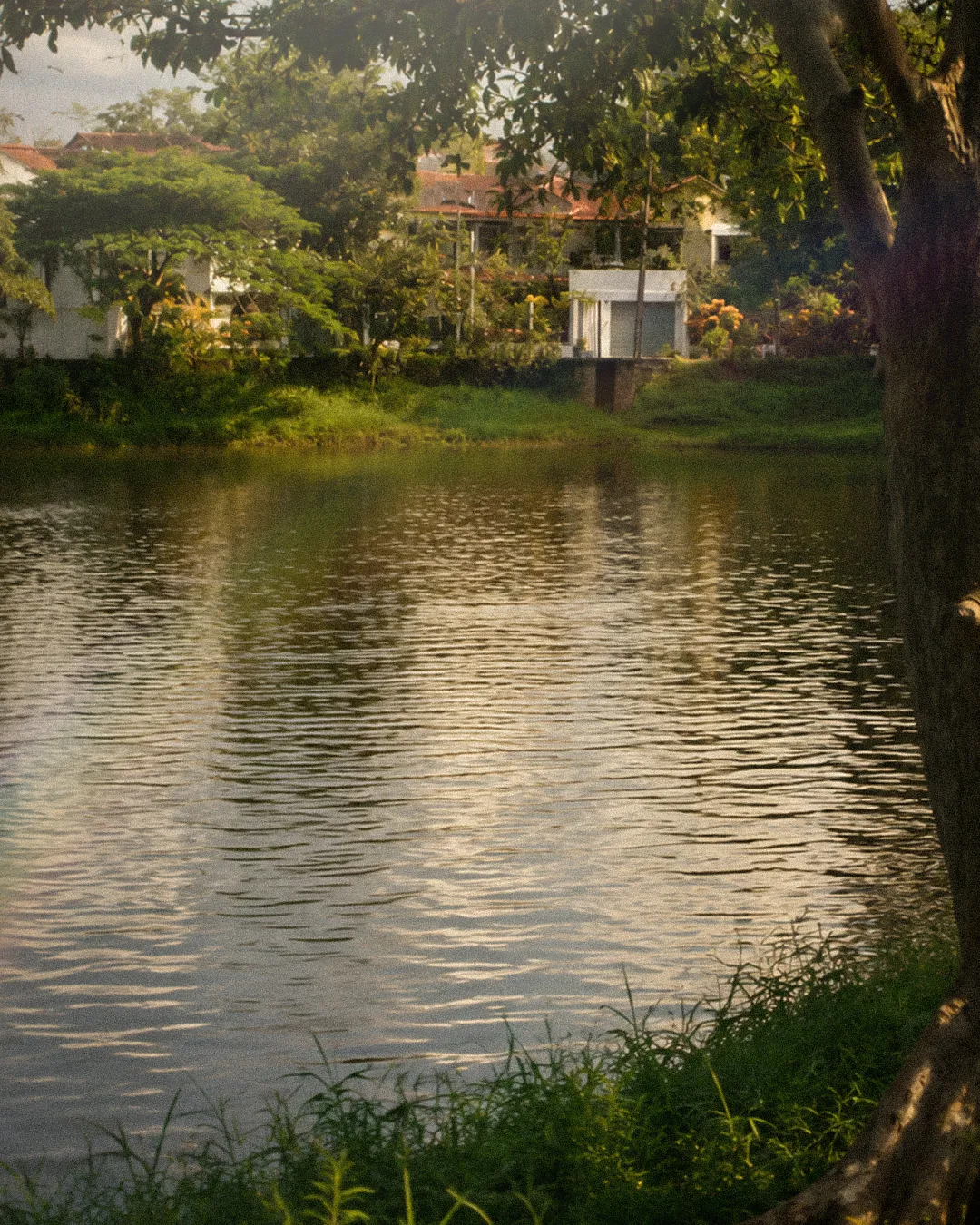The lake at golden hour
